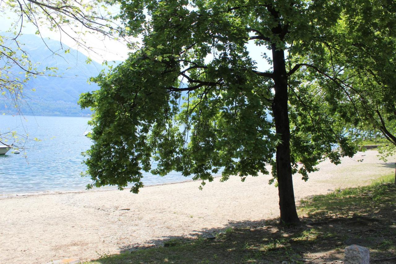 Appartamento Con Terrazza A Due Minuti Dal Lago Minusio Extérieur photo